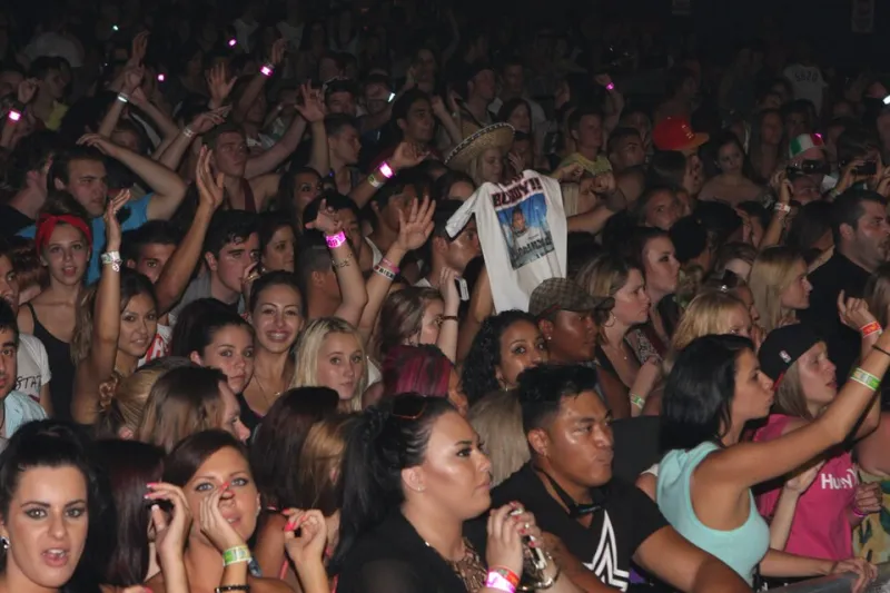 Fool Me Twice, I'll Still Buy the Merch: The Strange Loyalty Loop of Celebrity Fandom